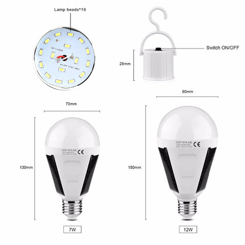 Waterproof Solar LED Lights