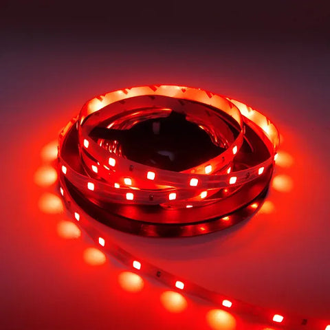 5M LED Strip Lights: RGB, White, Warm | Waterproof 12V SMD2835 for Room Decor