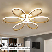 LED Ceiling Lights. Modern Hallway, Aisle, Bedroom & Living Room Lamps