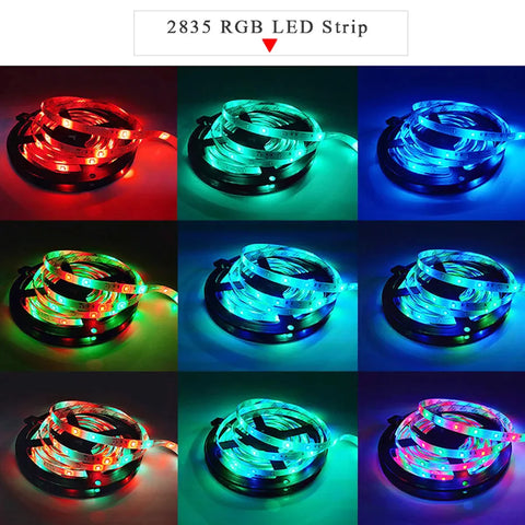 5M LED Strip Lights: RGB, White, Warm | Waterproof 12V SMD2835 for Room Decor