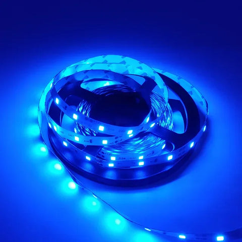 5M LED Strip Lights: RGB, White, Warm | Waterproof 12V SMD2835 for Room Decor