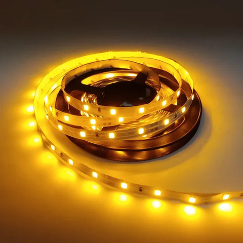 5M LED Strip Lights: RGB, White, Warm | Waterproof 12V SMD2835 for Room Decor