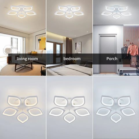 LED Ceiling Chandelier | Modern Home & Office Indoor Lighting