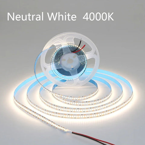 240LED/m 2835 LED Strip | DC12V/24V | 5M RGB High Brightness Home Light