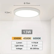 LED Ceiling Light | Modern Aisle & Hallway Lamp | Surface Mounted Fixture