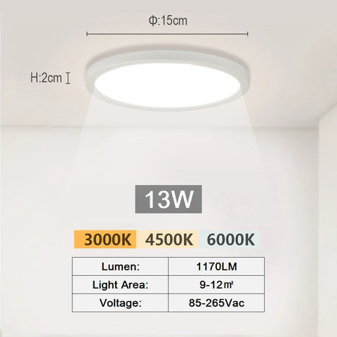 LED Ceiling Light | Modern Aisle & Hallway Lamp | Surface Mounted Fixture